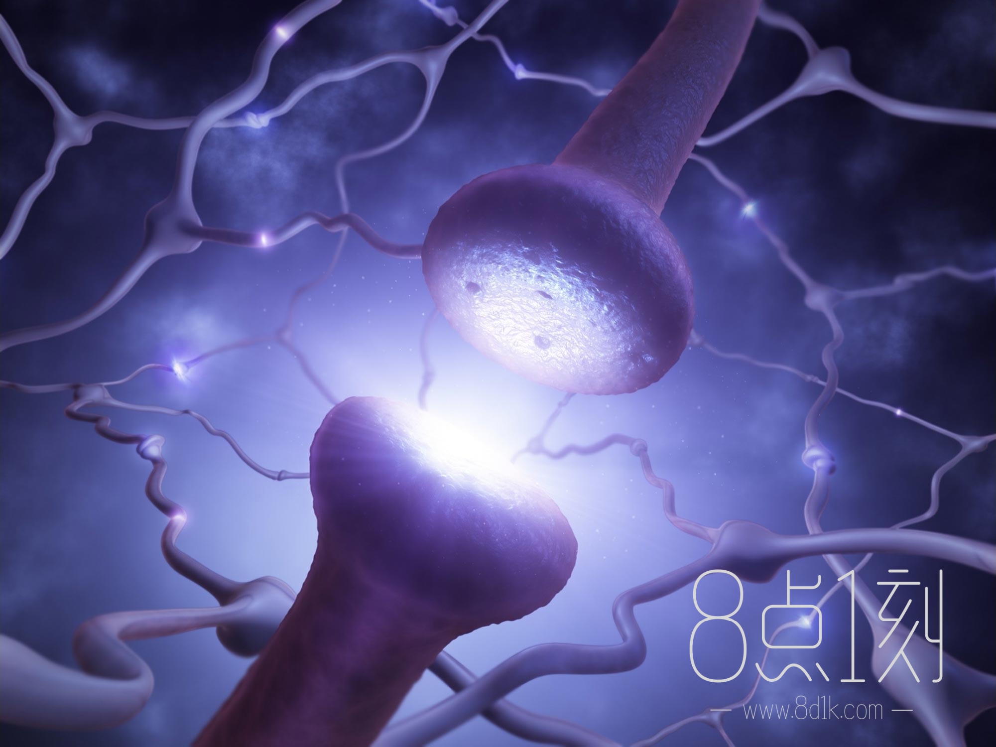 科学家探索一种令人兴奋的可能性,神经元可以传输光